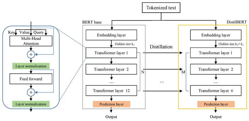 DistilBERT Architecture