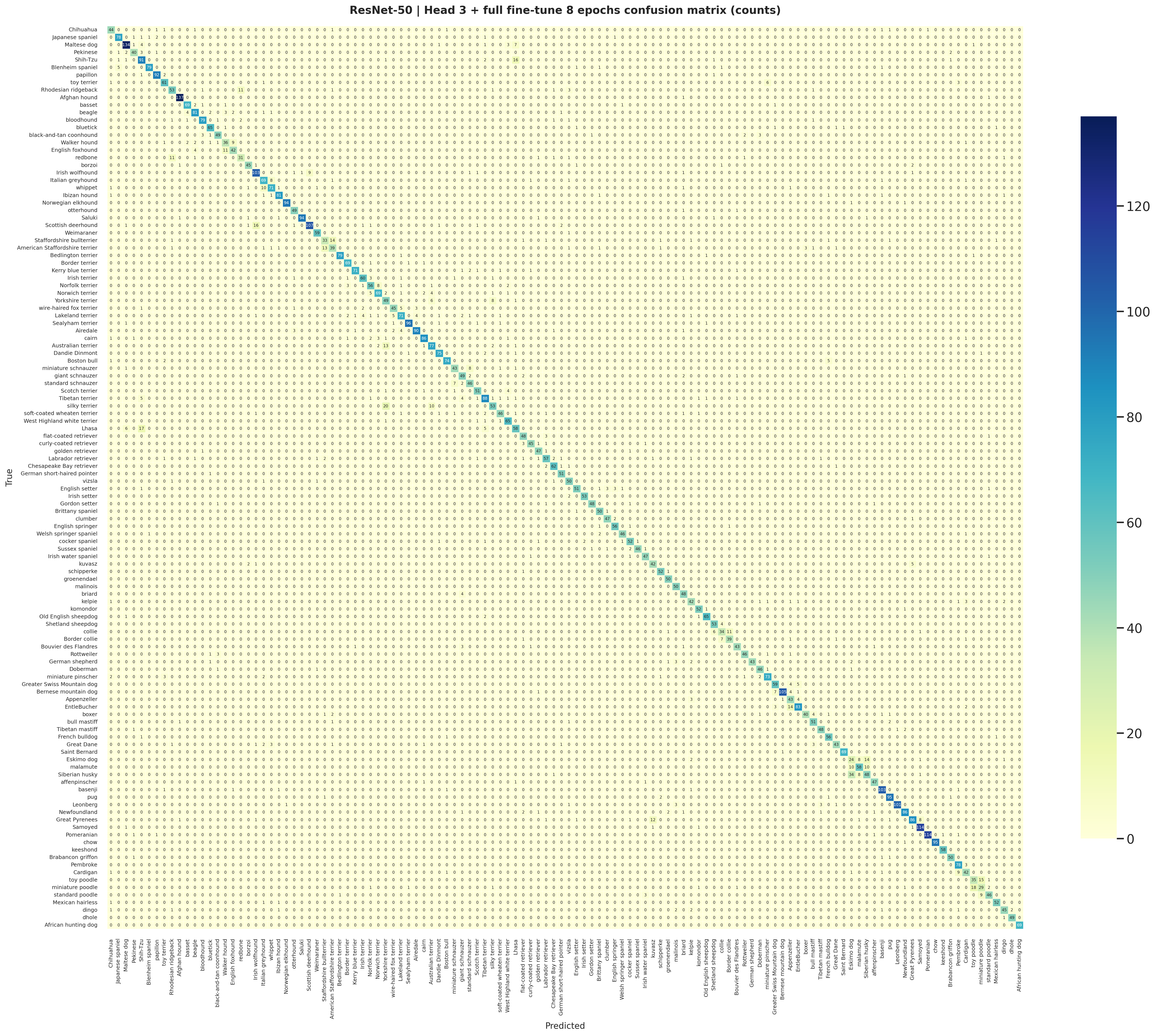 ResNet-50 staged confusion matrix with raw counts on Stanford Dogs