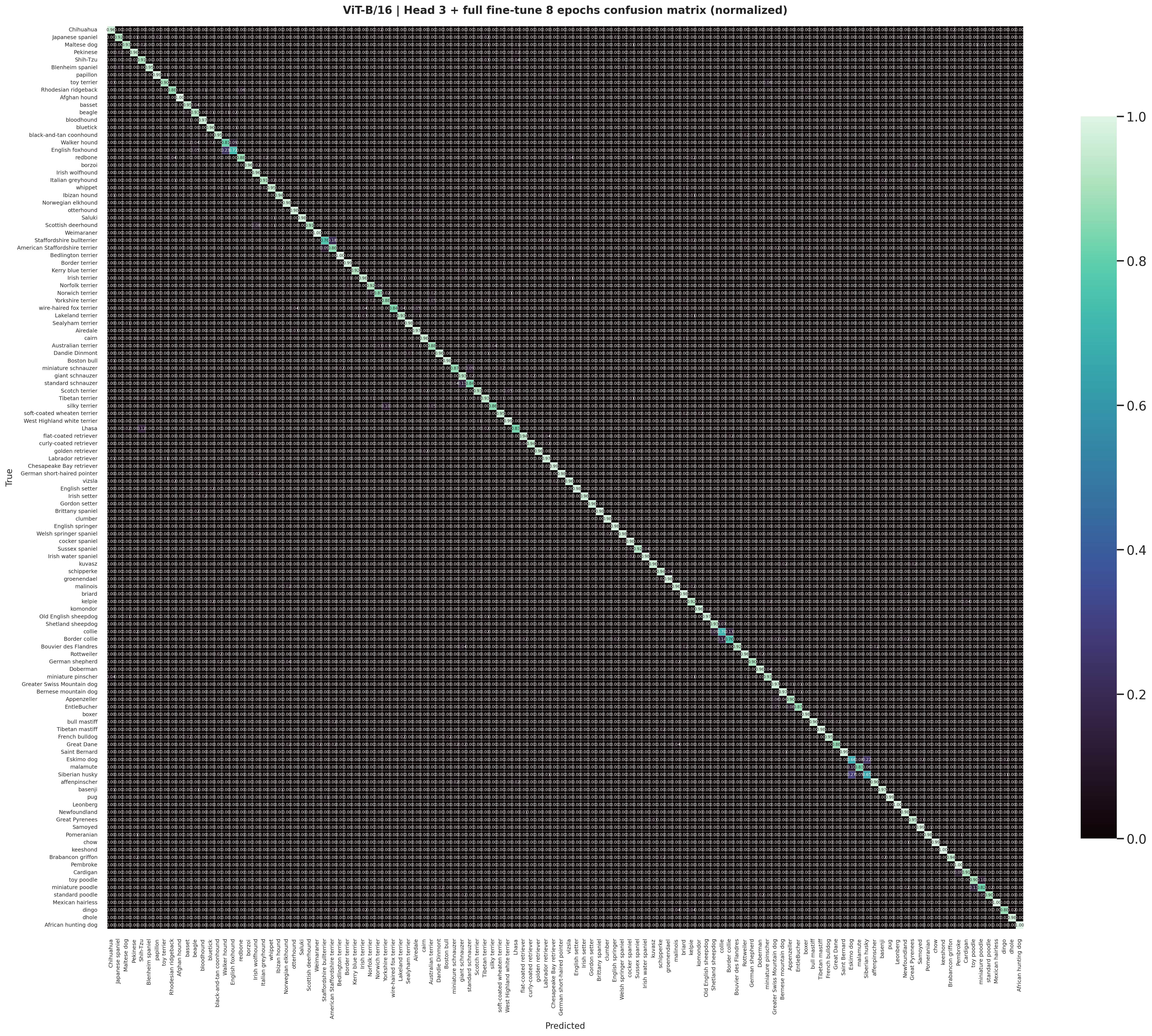 ViT-B/16 staged normalized confusion matrix on Stanford Dogs