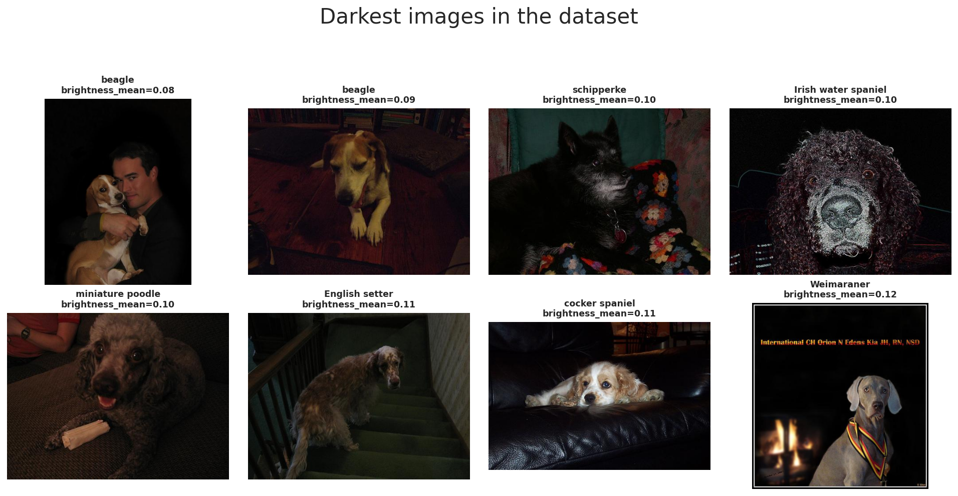 Darkest Stanford Dogs examples